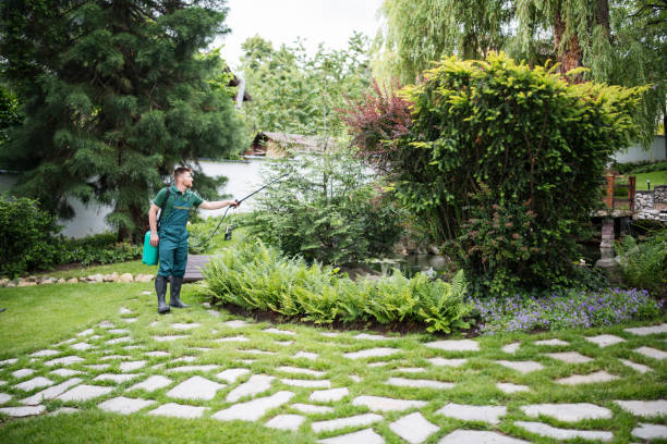 Best Residential Pest Control  in Red Corral, CA