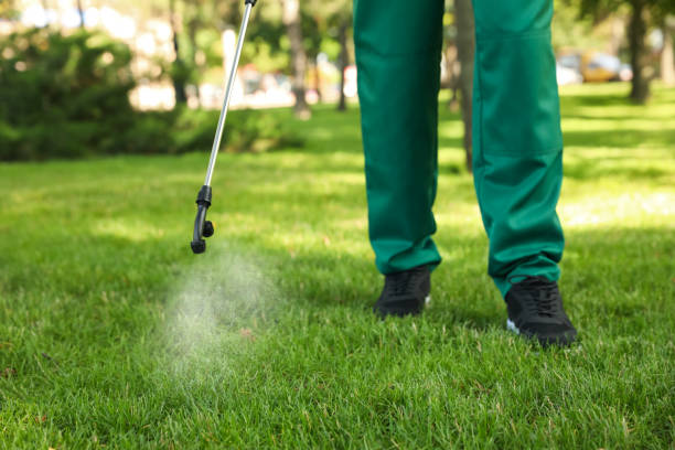Best Ant Control Services  in Red Corral, CA