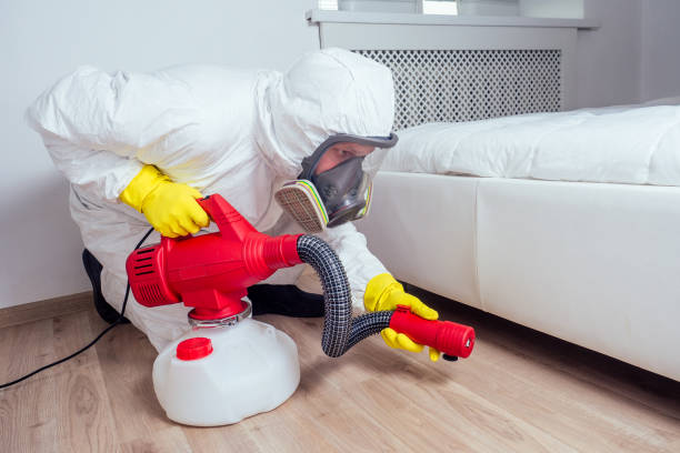 Best Affordable Pest Control Services  in Red Corral, CA