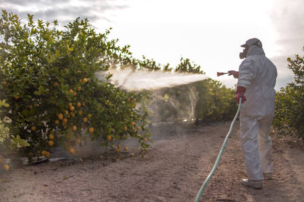  Red Corral, CA Pest Control Pros