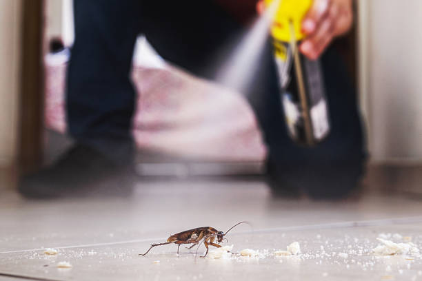 Best Pest Removal Services  in Red Corral, CA
