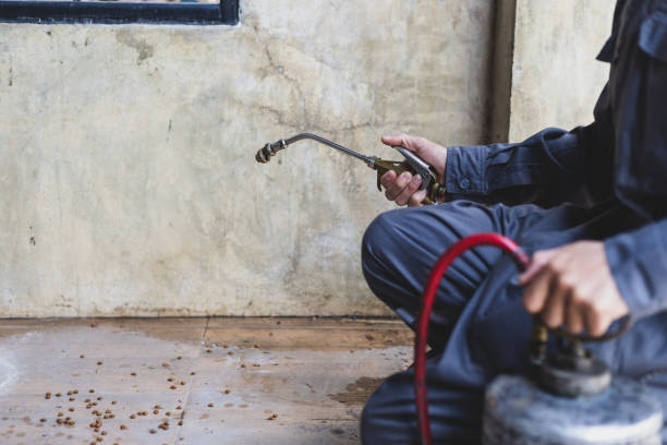 Best Wasp Removal Services  in Red Corral, CA